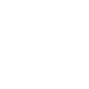 Software as a Service (SaaS)